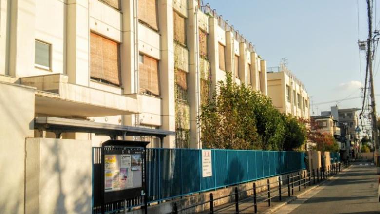 田島小学校画像