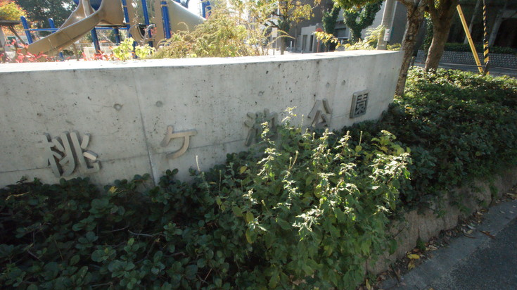 桃ヶ池公園画像