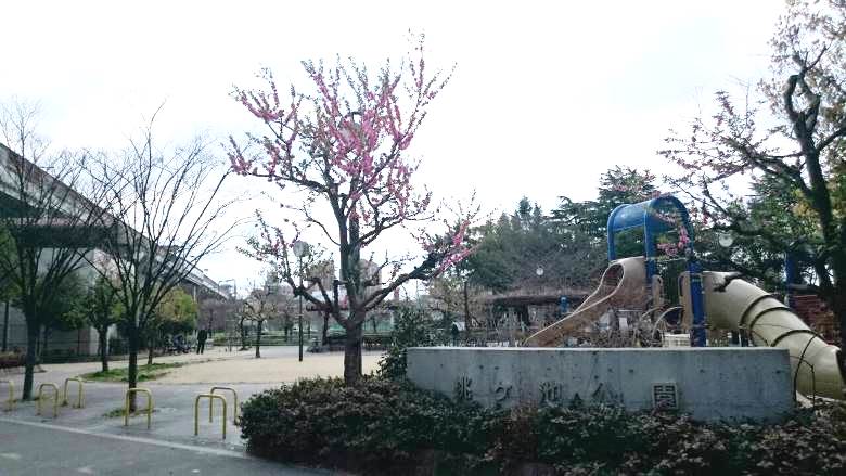 桃ヶ池公園画像