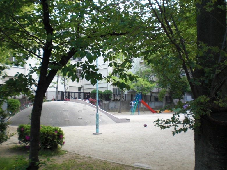 常盤公園画像