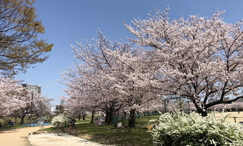 平野白鷺公園画像