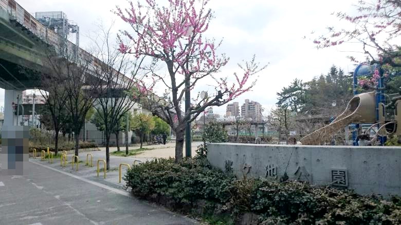 桃ヶ池公園画像