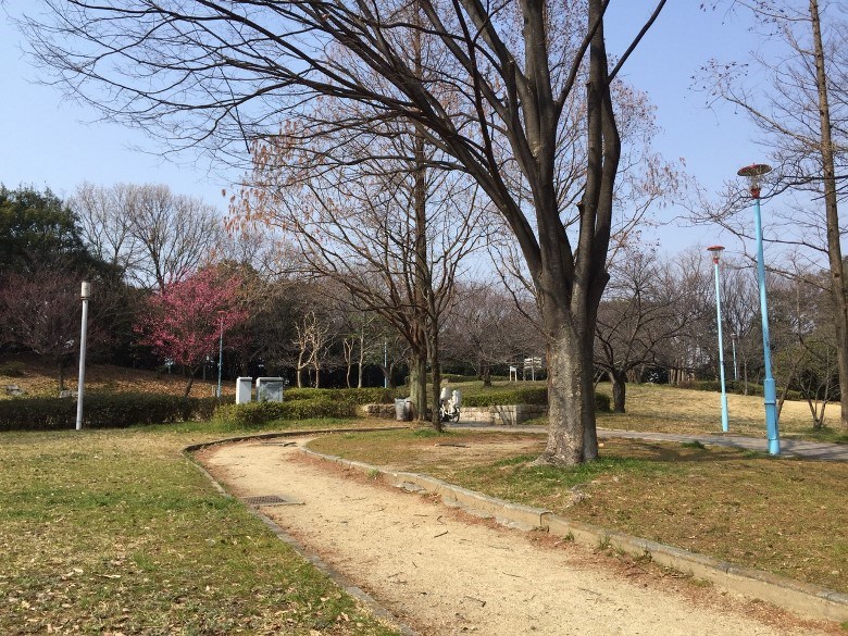 矢田教育の森公園画像
