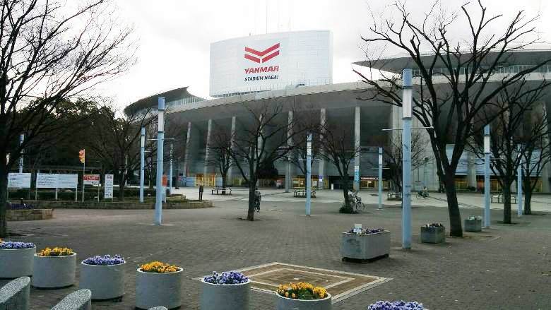 長居公園　ヤンマースタジアム長居画像
