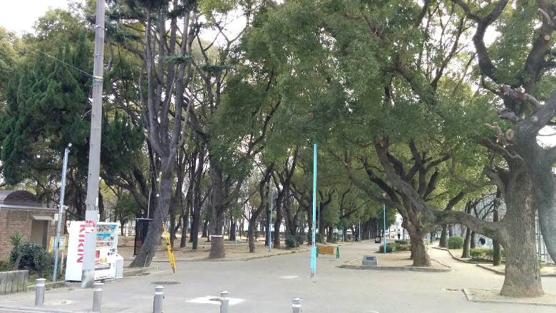 平野白鷺公園画像