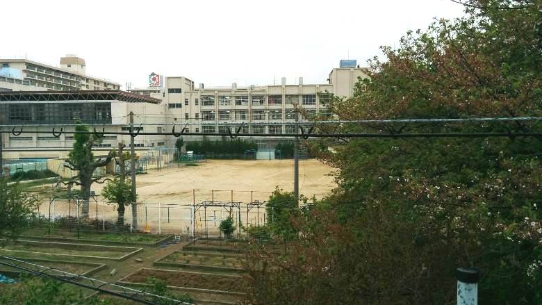 大阪市立平野小学校画像