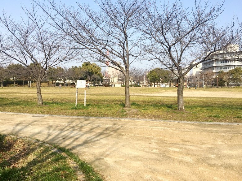 浅香中央公園画像