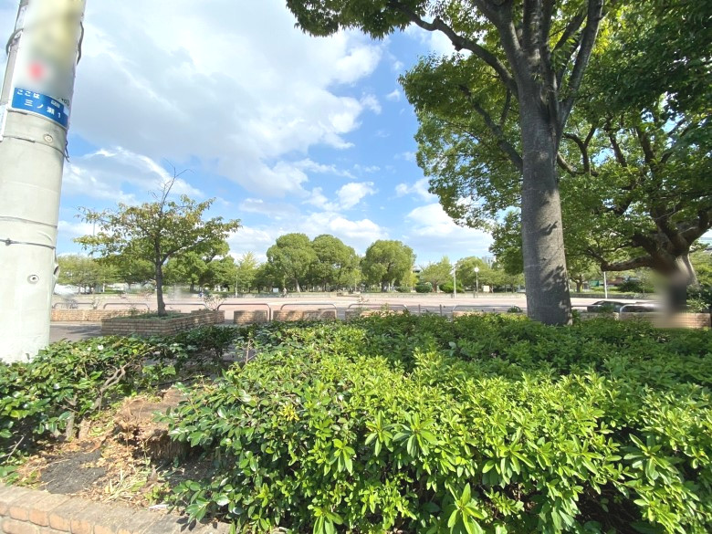 三ノ瀬公園画像